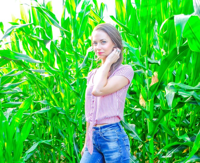 Hollister Tie Front Crop Shirt