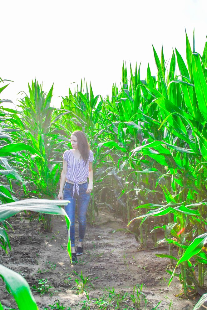 Hollister Tie Front Crop Shirt